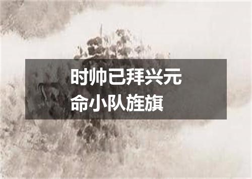 时帅已拜兴元命小队旌旗