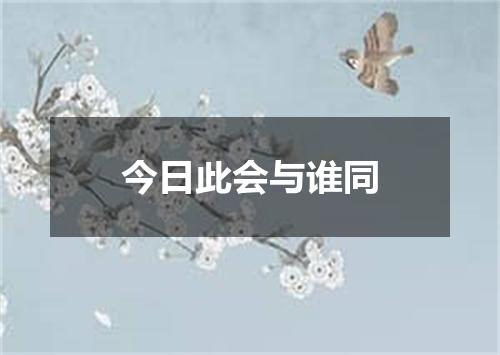 今日此会与谁同