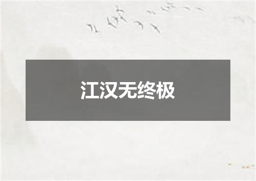 江汉无终极