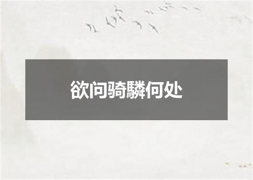 欲问骑驎何处