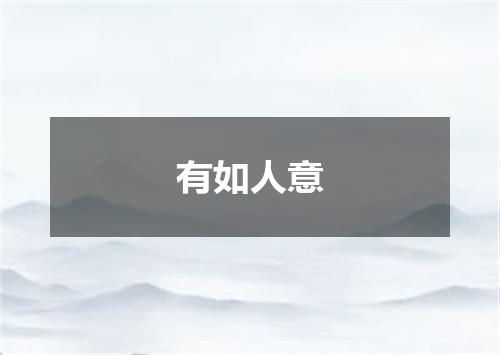 有如人意