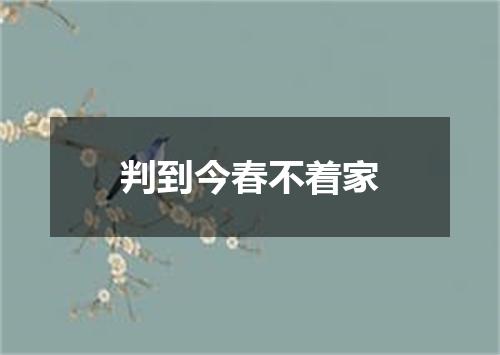 判到今春不着家