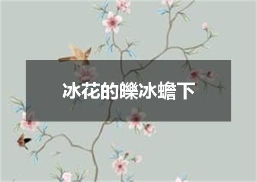 冰花的皪冰蟾下