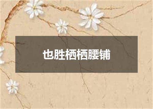 也胜栖栖腰铺