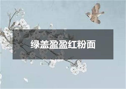 绿盖盈盈红粉面