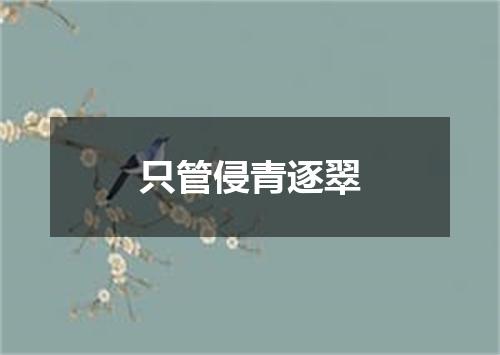 只管侵青逐翠