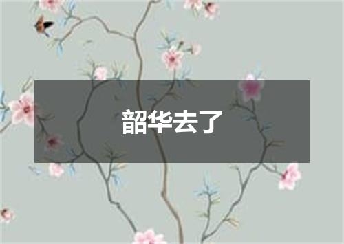 韶华去了