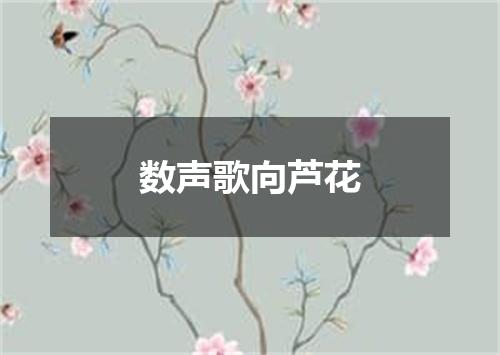 数声歌向芦花