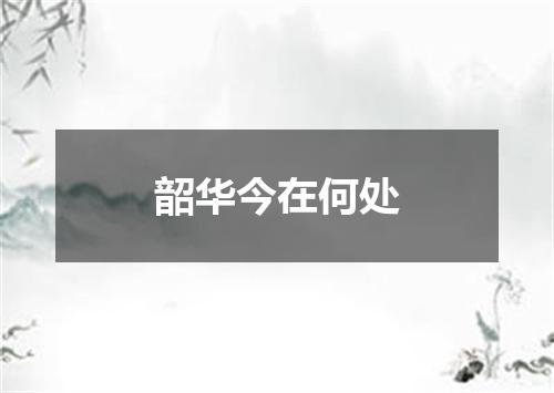 韶华今在何处