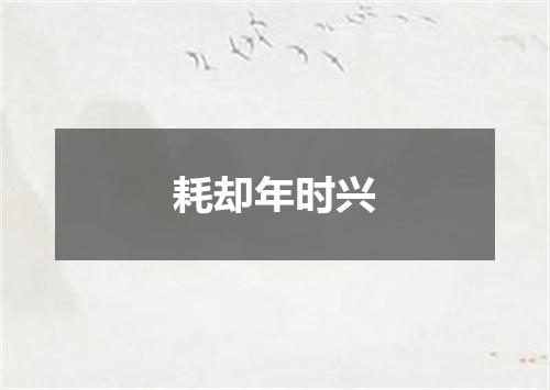 耗却年时兴