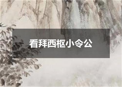 看拜西枢小令公