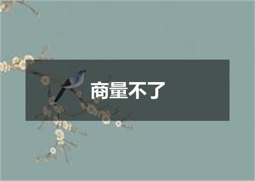 商量不了
