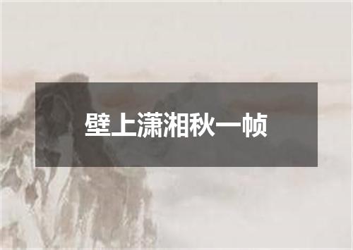 壁上潇湘秋一帧