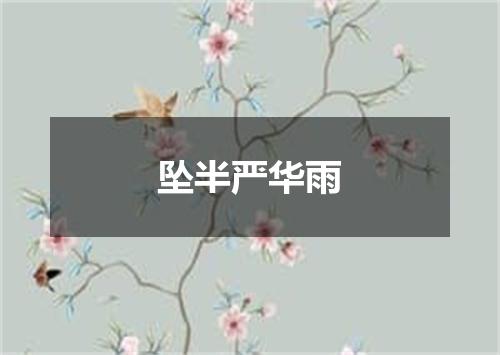 坠半严华雨