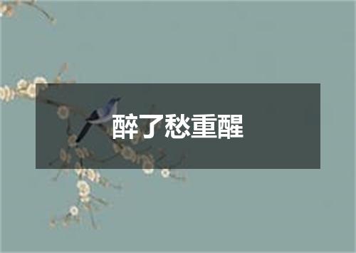 醉了愁重醒