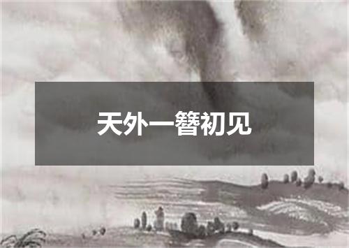 天外一簪初见