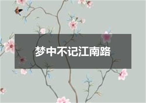 梦中不记江南路