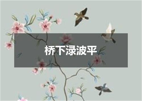 桥下渌波平