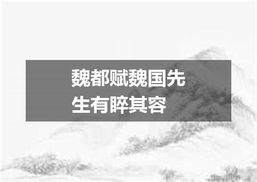 魏都赋魏国先生有睟其容