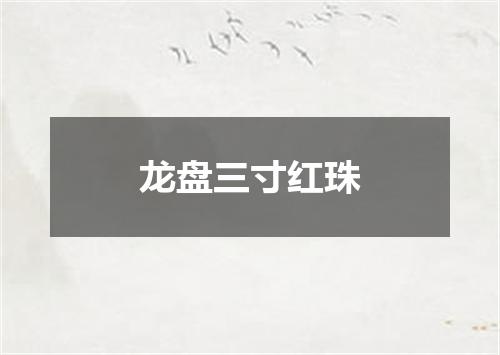 龙盘三寸红珠