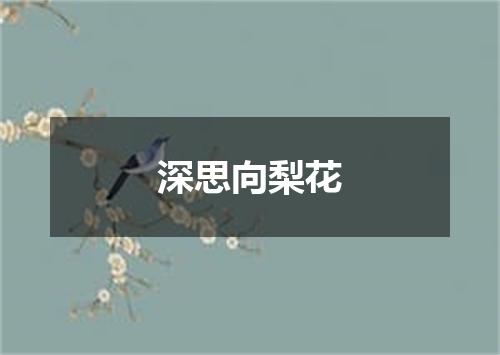 深思向梨花