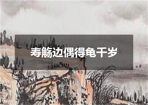 寿觞边偶得龟千岁