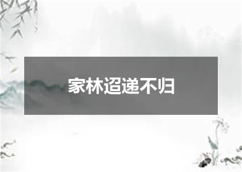 家林迢递不归
