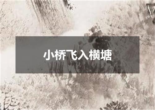 小桥飞入横塘