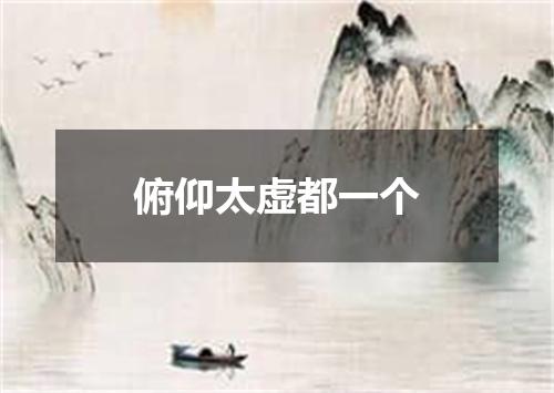 俯仰太虚都一个