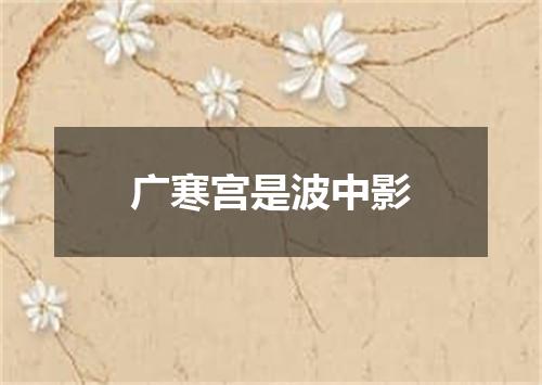 广寒宫是波中影