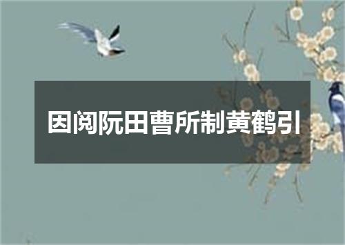因阅阮田曹所制黄鹤引