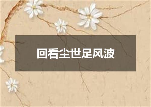 回看尘世足风波