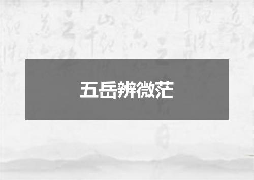 五岳辨微茫