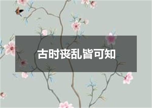 古时丧乱皆可知