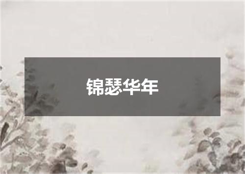 锦瑟华年