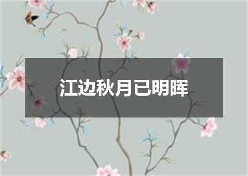 江边秋月已明晖