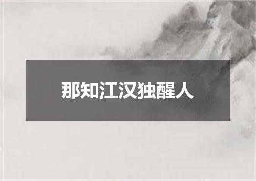 那知江汉独醒人