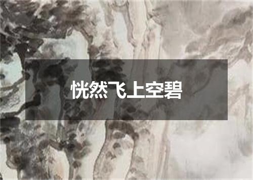 恍然飞上空碧