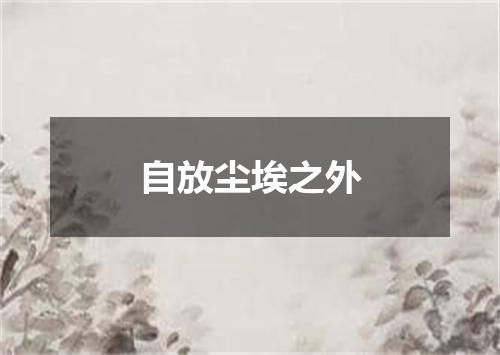 自放尘埃之外