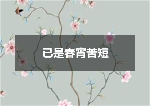 已是春宵苦短