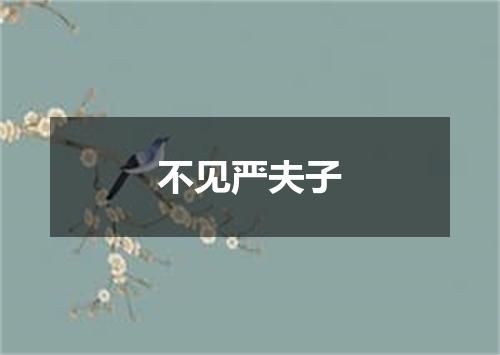 不见严夫子