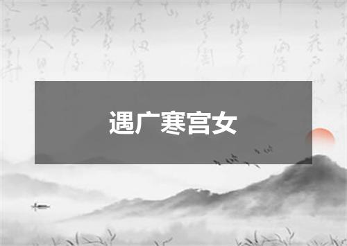 遇广寒宫女