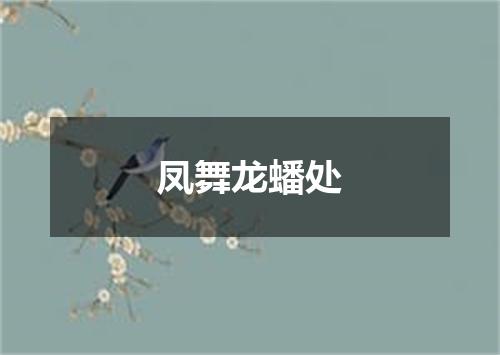 凤舞龙蟠处