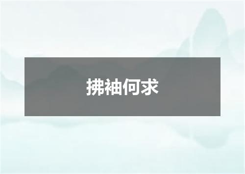 拂袖何求