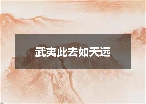 武夷此去如天远