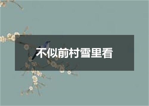不似前村雪里看