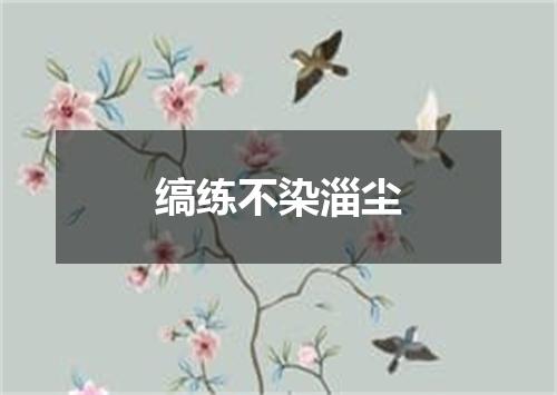 缟练不染淄尘