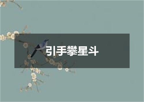 引手攀星斗