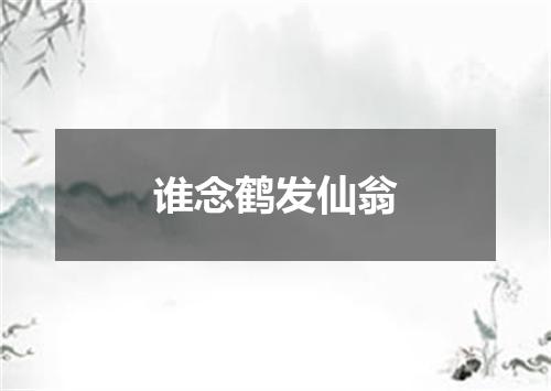 谁念鹤发仙翁