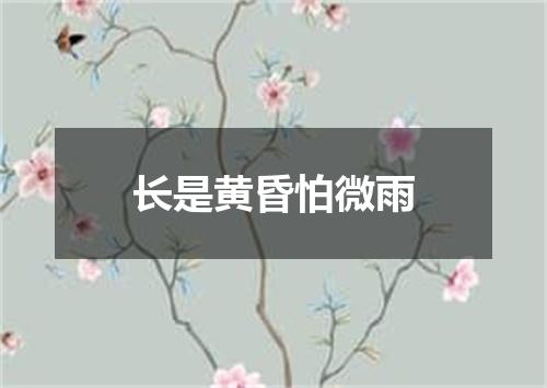 长是黄昏怕微雨